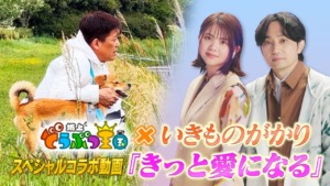 -補足情報-_2