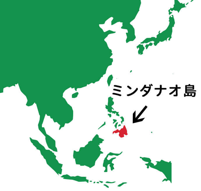  -ノラルディン-その後 -_2