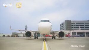 タイガーエア台湾 CMのシーン4（00:10）