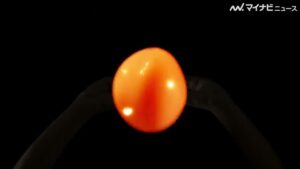 なか卯 CMのシーン3（00:03）