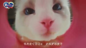 ユニ・チャーム CMのシーン4（00:05）