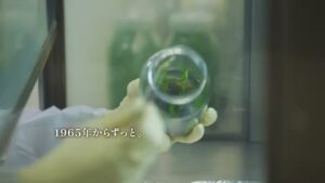 河野メリクロン CMのシーン7（00:19）
