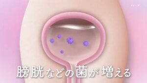 ボーコレン CMのシーン3（00:03）