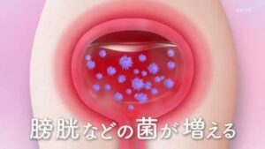 ボーコレン CMのシーン4（00:05）