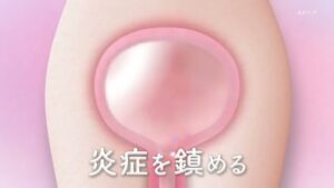ボーコレン CMのシーン8（00:11）