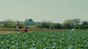 おおぶね CMのシーン1（00:01）