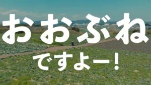 おおぶね CMのシーン4（00:20）