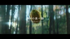 カカオ CMのシーン2（00:01）