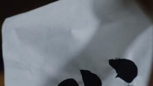 戦国布武 CMのシーン6（00:08）