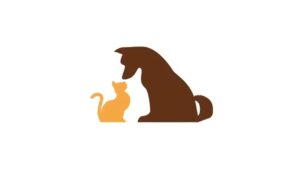 小学館 CMのシーン1（00:00）