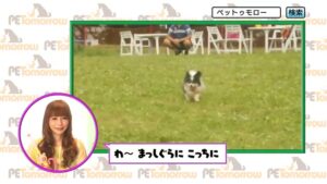 小学館 CMのシーン2（00:03）