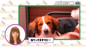 小学館 CMのシーン3（00:07）