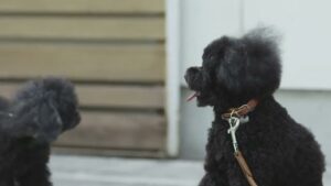 宝島社 CMのシーン3（00:03）