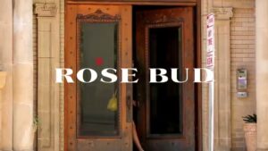 ROSE CMのシーン1（00:00）