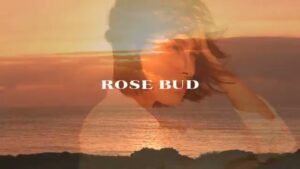 ROSE CMのシーン9（00:31）