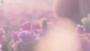 キャンメイク CMのシーン1（00:00）