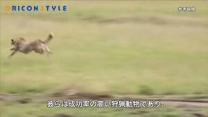 カロリーメイト CMのシーン7（01:40）