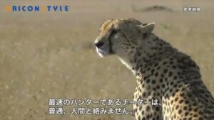 カロリーメイト CMのシーン8（01:56）
