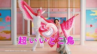 ソイカラ 「バレエと大豆」篇 「フラと大豆」篇