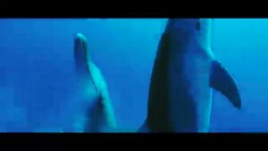 JRグループ CMのシーン7（00:19）