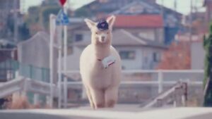 ゆうパック CMのシーン2（00:06）