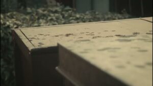 アート引越センター CMのシーン4（00:11）