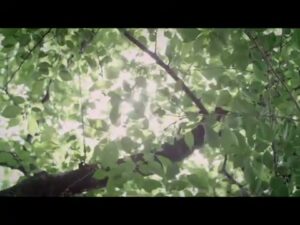 ザ マーカススクエア CMのシーン3（00:03）