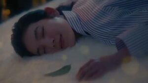 Koala CMのシーン1（00:00）
