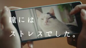 シード CMのシーン6（00:16）
