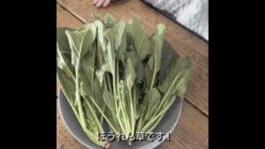 ユーキャン CMのシーン5（00:16）