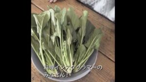 ユーキャン CMのシーン6（00:20）