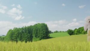 パブレ CMのシーン1（00:00）