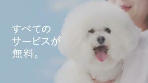 パブレ CMのシーン7（00:09）