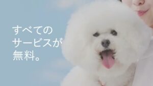 パブレ CMのシーン8（00:11）
