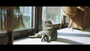 太陽生命 CMのシーン5（00:13）