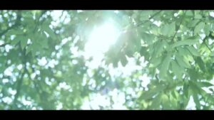 アンフィ二 CMのシーン8（00:23）