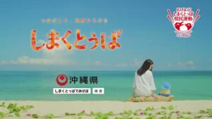 沖縄県 CMのシーン8（00:11）