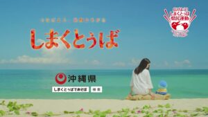 沖縄県 CMのシーン9（00:13）