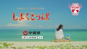 沖縄県 CMのシーン10（00:14）