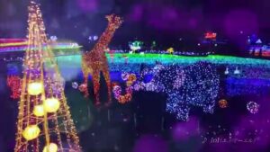 東武鉄道 CMのシーン5（00:07）