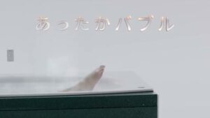 パナソニックリフォーム CMのシーン6（00:17）
