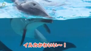 東急リバブル CMのシーン7（02:26）