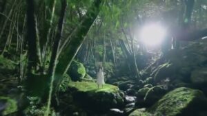 お～いお茶 CMのシーン5（00:08）