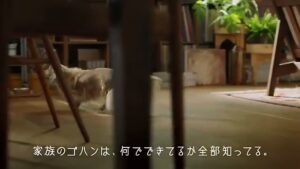 Nutro CMのシーン3（00:07）