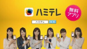 ハミテレ CMのシーン10（00:29）