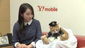 ワイモバイル CMのシーン8（03:28）