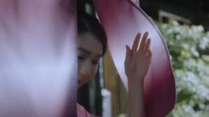 しゃぶしゃぶと日本料理の木曽路 CMのシーン2（00:01）