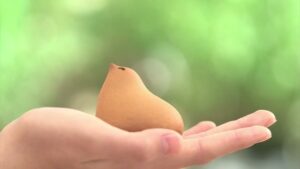 ひよ子本舗吉野堂 CMのシーン2（00:01）