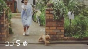 マース ジャパン CMのシーン5（00:06）