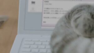 マース ジャパン CMのシーン7（00:09）